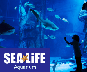 SEA LIFE Aquarium  Military Discount | Locations Nationwide 