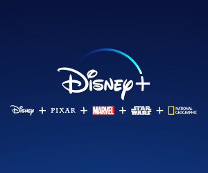 Disney+ Medical Professional Discount | Disney+ and Hulu