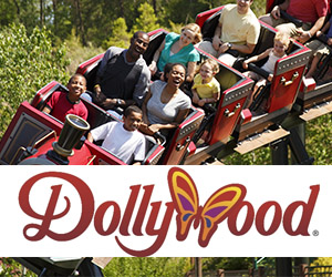Dollywood Medical Professional Discount | Dollywood Tickets