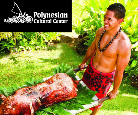 Polynesian Cultural Center Medical Professional Discount | Earn Rewards at Polynesian Center