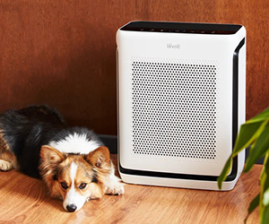Levoit First Responder Discount | Home Wellness Solutions