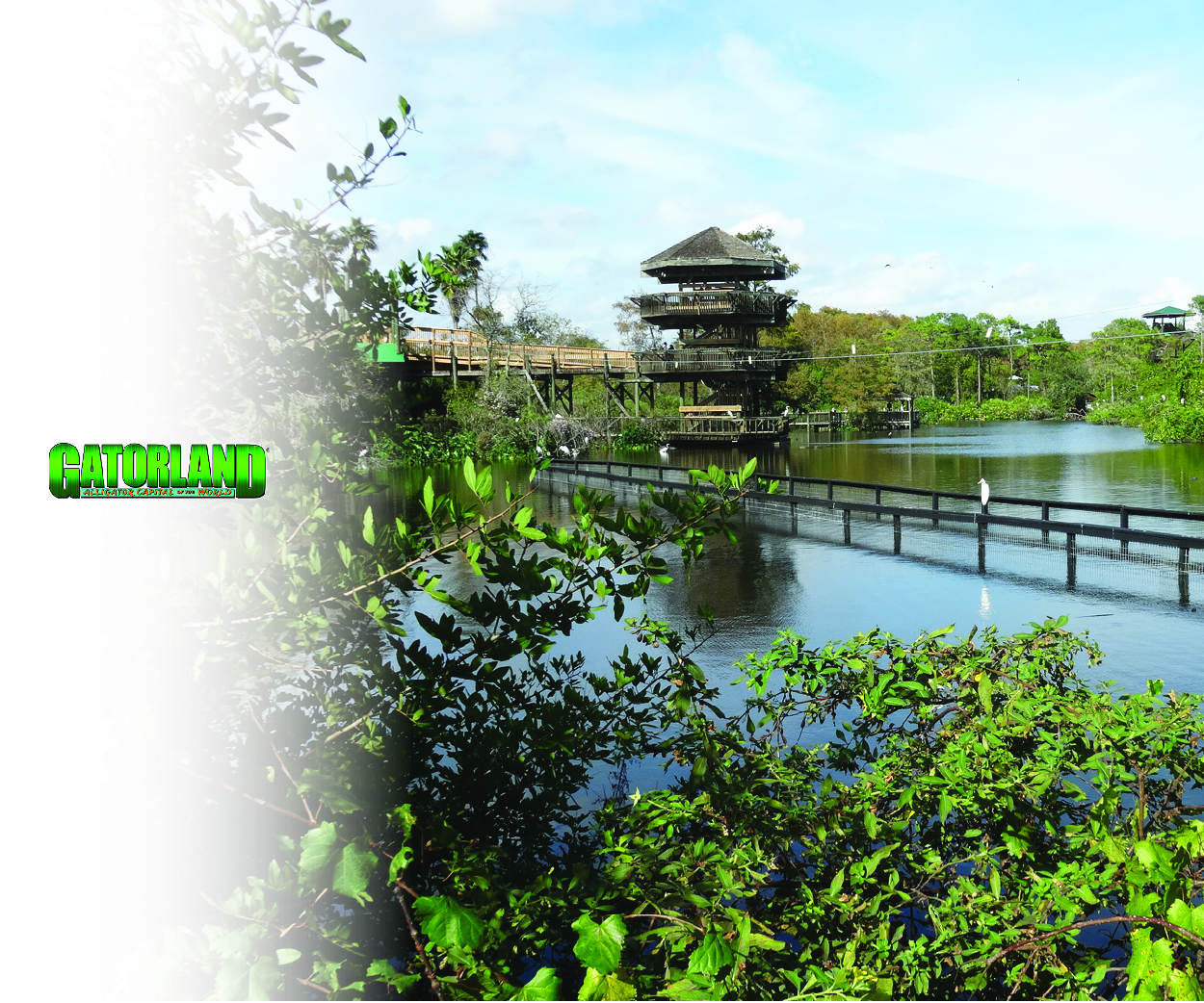 Gatorland Medical Professional Discount | Gatorland in Orlando, FL
