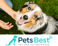 Pets Best Military Discount | Save up to 90% on Vet Bills