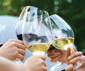WSJ Wine Nurse Discount | Wine Discovery Club Offer