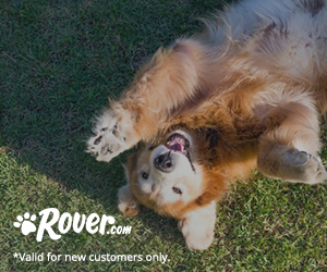 Rover Military Discount | Pet Sitters & Dog Walkers