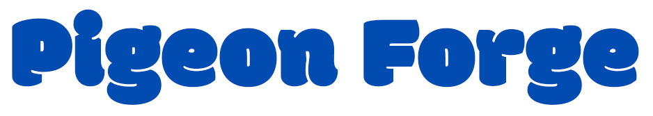 Pigeon Forge Attractions